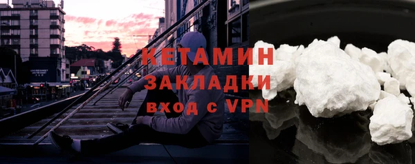 индика Краснослободск