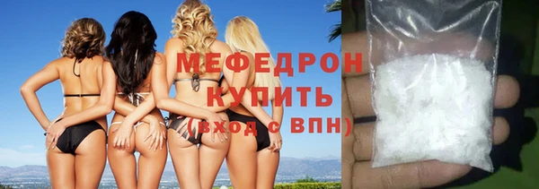 индика Краснослободск