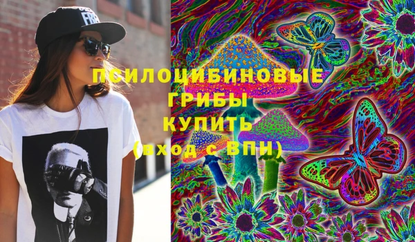 прущая мука Костерёво