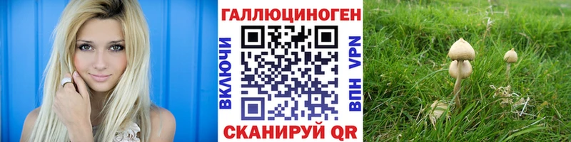 Галлюциногенные грибы Cubensis  Купить где  Грязовец 